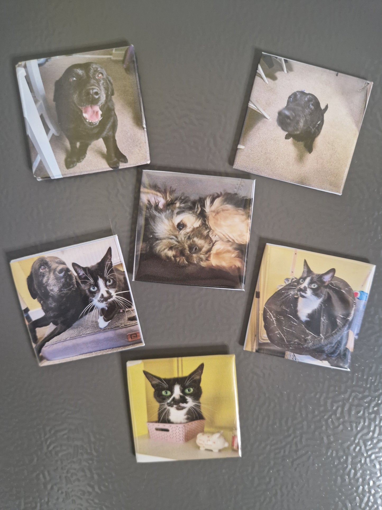 Set of 6 Personalised Photo Magnets – 2" Square Custom Fridge Magnets – Gift Idea for Friends & Family (UK Made)
